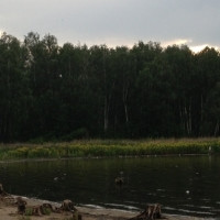 Озеро Смолино станет «донором» воды для Курочкино