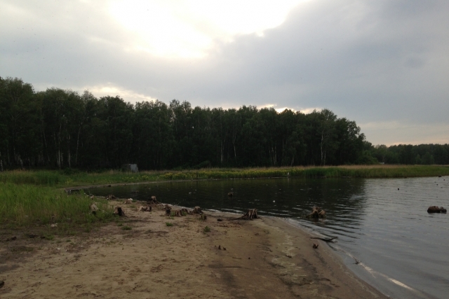 Озеро Смолино станет «донором» воды для Курочкино