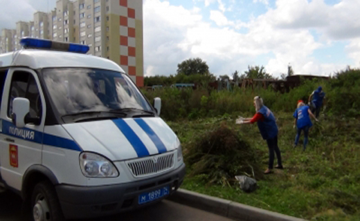 В центре Копейска уничтожили поле конопли