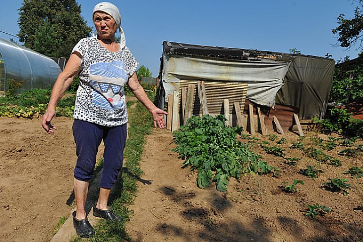 Копейские садоводы получат два миллиона рублей