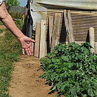 Копейские садоводы получат два миллиона рублей