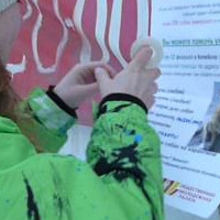 Копейчане поддерживают социальную акцию для бездомных животных