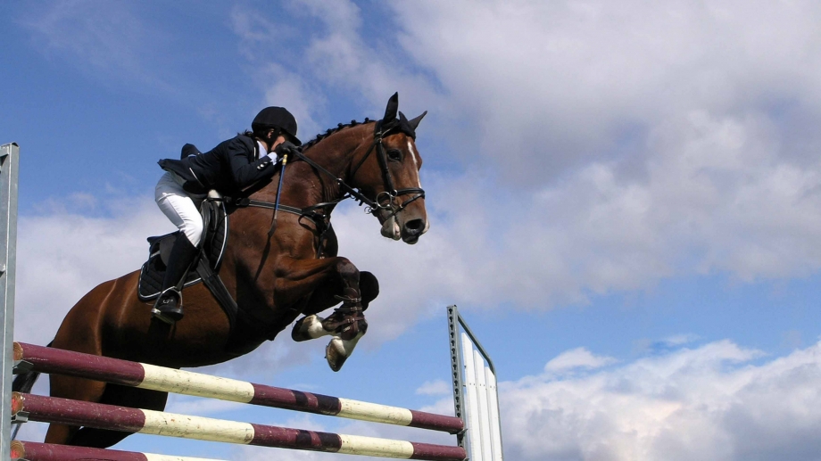 В Копейске пройдут соревнования по конному спорту