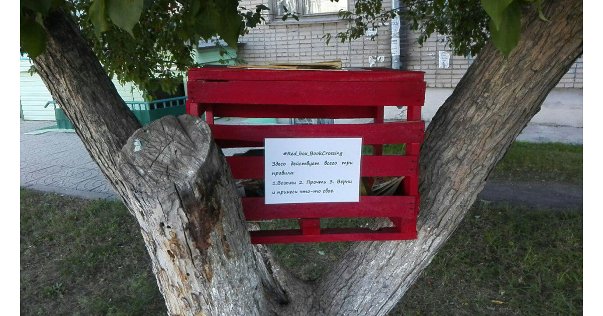 В Копейске устроили библиотеку на дереве
